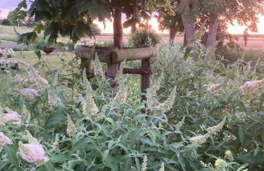 Marie Carla - Foto 56