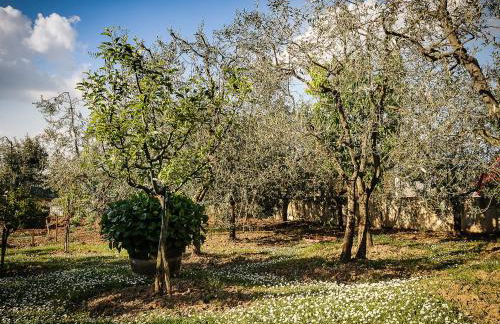 Apartment Matteuzzi by Interhome - Foto 28