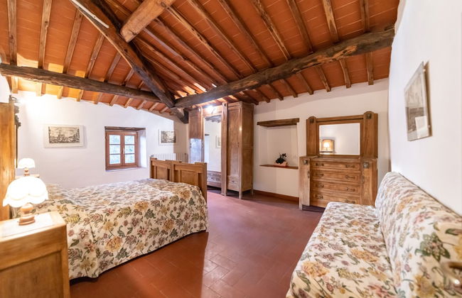 Fattoria di Cintoia - Photo 14