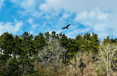 Alb-Welle I Design-Apartment mit privater Sauna & Badkap-Nähe - Foto 40