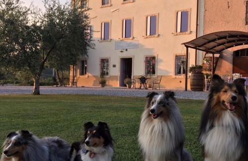 Agriturismo Casa Aurora - Foto 12