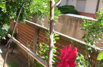 Casa Marina Giardino delle Rose - Foto 35