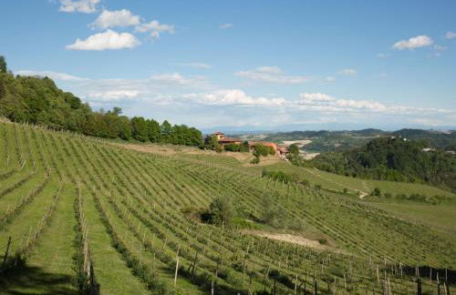 Tenuta Tenaglia - Foto 7