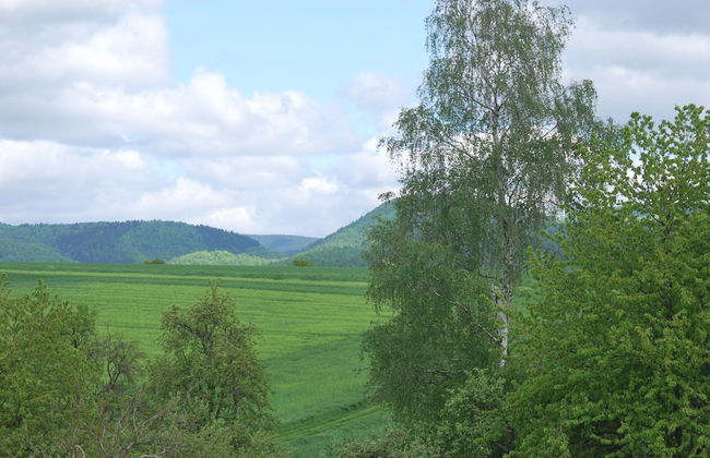 Ferienwohnung Stricker Bad Sachsa - Foto 39