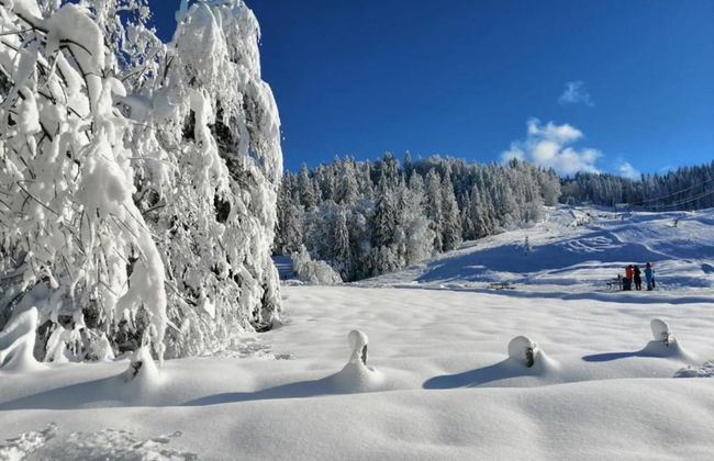 Cozy Holiday Home in Egg near Ski Area - Foto 36