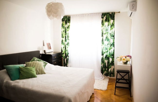 Cozy apt Within Walk Distance to Center and Beach - Photo 5