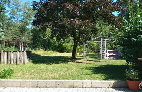 Fewo Schnuckenheide - Foto 17