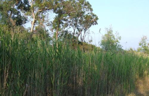 Résidence Santa - Foto 24