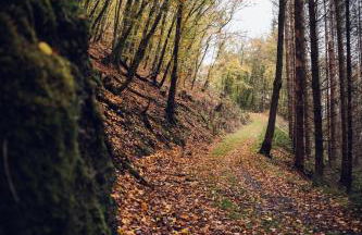 Idyllisches Häuschen im Grünen - Foto 56