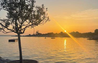 Mobilna kućica CISSA - Photo 33