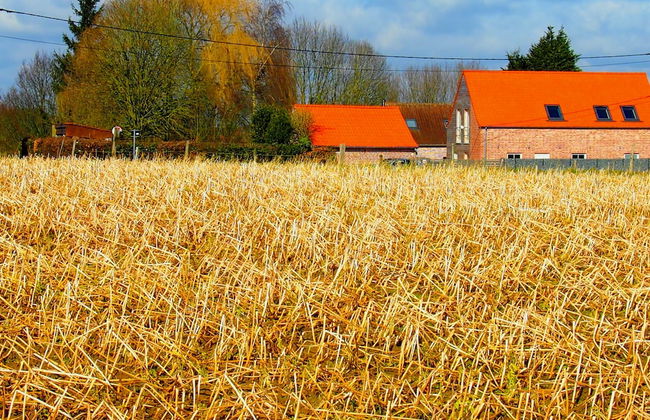 Gite L'archipel - Foto 64