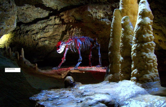 Luring Apartment in Plankenstein near Forest - Photo 39