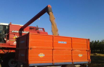 Agriturismo La Ginestrella - Foto 11