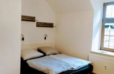 Zum Ritter Ferienwohnung 500 Meter zum Freizeitpark Plohn - Foto 12