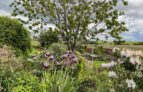 The Wee Hoose - Foto 9