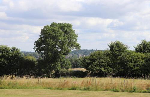 Pheasant Lodge - Photo 35