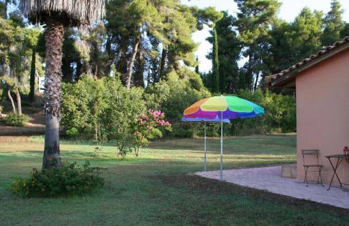 Terry Land Village - Foto 68