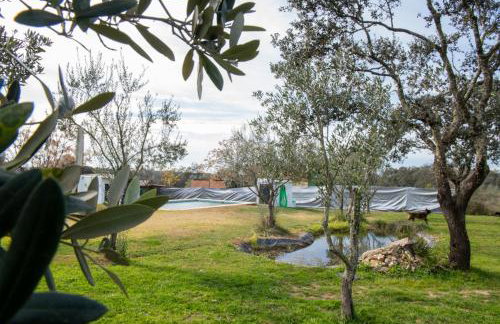 La Platea Rural - Foto 25