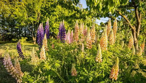 Ka:Ma Hof Uckermark - Photo 5, Garden, Garden view