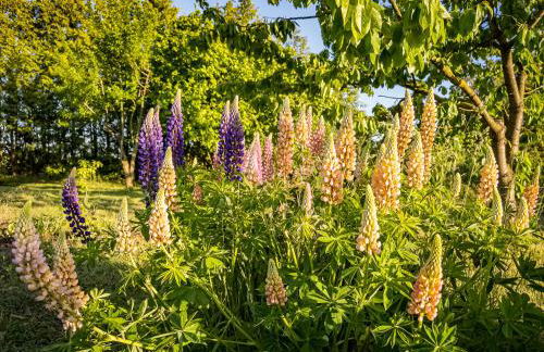 Ka:Ma Hof Uckermark - Foto 5