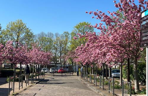 CosySmartStudio - Foto 24