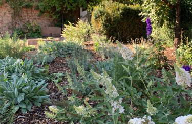 Nibelungen Odenwaldhaus - Foto 66