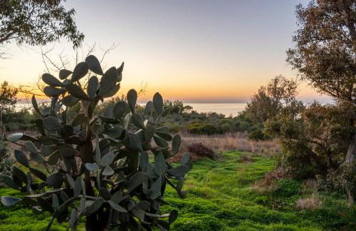 Villa Torre Leporano a due passi dal mare - Foto 35