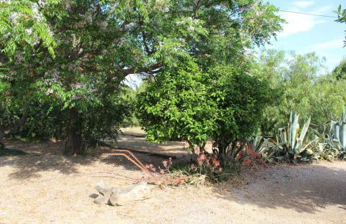 Mas des Oliviers - Foto 22