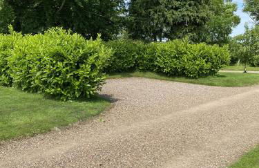 Up North Stays - Foto 47