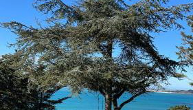 Maison vue exeptionnelle sur la mer - Foto 1