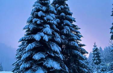 Chalet Des Feignes - Photo 50