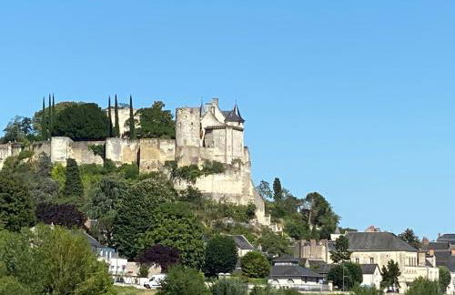 Le Charles VII CHINON - Foto 21