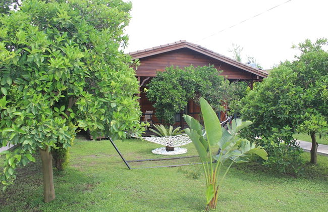 Cirali Villas Hotel Pansiyon - Foto 3