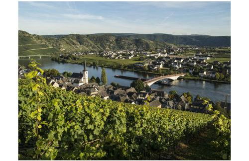 Ferienhaus Weitblick, Piesport, Traumblick von 2 Balkonen auf die Moselschleife - Foto 17