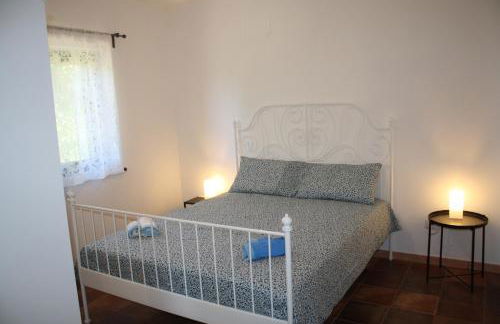 Tra il bosco e il lago - Foto 49