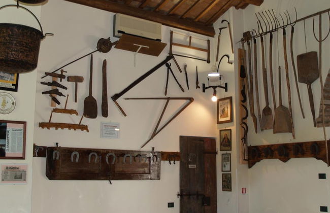 Agriturismo Le Clementine - Foto 29