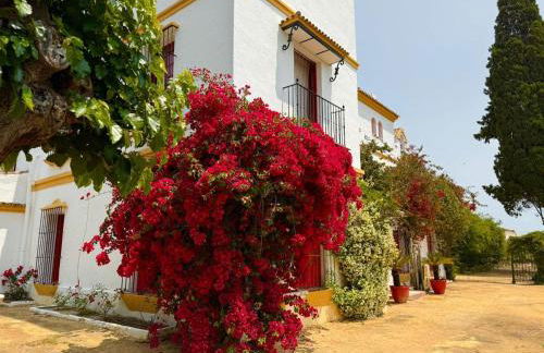 Hacienda Don Rodrigo - Foto 24