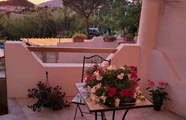 Nebida da Maria - Foto 23