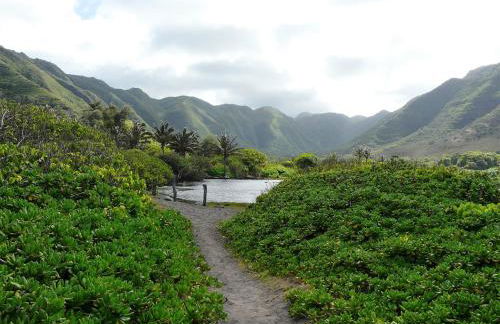 Ka Hale Kealoha - Foto 26