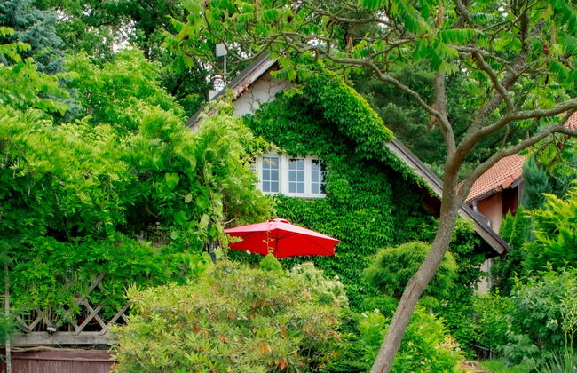 Karasova II - Foto 21