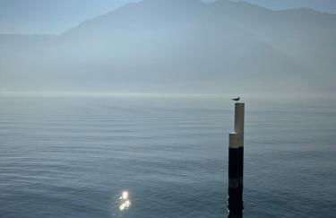 La casa sulla collina - apt. 2 - Foto 17