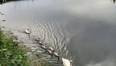 Stunning Riverside Town House With Views, Ayrshire - Foto 5