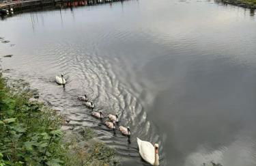 Stunning Riverside Town House With Views, Ayrshire - Foto 5