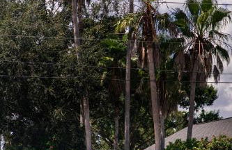 Residentas Indian Creek - Foto 44