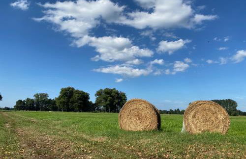 Spreewaldhaus Raddusch, Boote- Fahrräder gratis - Foto 32