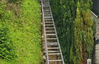 Ferienwohnung zum Rheinblick - Foto 26