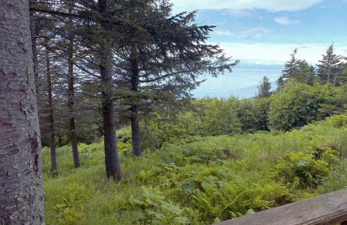 Lost Anchor Cabins - Ocean-view cabins on the bluff - Foto 13