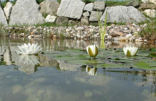 Birkholmhof - Foto 17