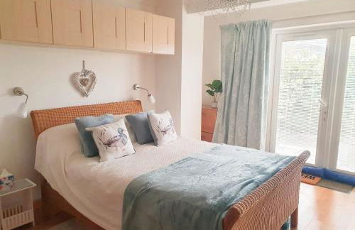 Little Dragons - Photo 1