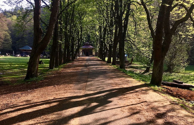 Marienbad Apartment - Foto 62